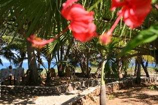 Guest House Casablanca Campo Del Suizo garden